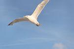 Norderney 20140815 192804