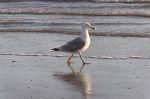 Norderney 20140815 194050