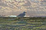 Norderney 20140815 194434