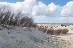 Norderney 20140820 165753