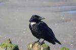 Norderney 20150721 180553 DxO