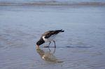 Norderney 20150721 183443 DxO