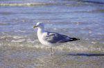 Norderney 20150721 183824 DxO