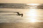 Norderney 20150723 204811 DxO