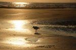Norderney 20150723 205435 DxO