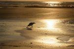 Norderney 20150723 205442 DxO