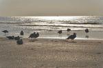 Norderney 20150801 191921 DxO