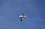 Norderney 20150802 103929 DxO