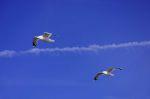 Norderney 20150802 104000 DxO