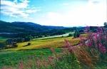 Norwegen 1995 093 DxO