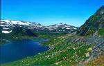 Norwegen 1995 105 DxO