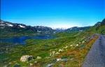 Norwegen 1995 106 DxO