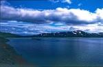 Norwegen 1995 175 DxO