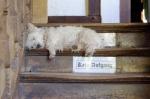 Pfalz_20120503_155856_DxO