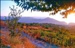 Sardinien 1999 051 DxO