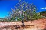 Sardinien 1999 157 DxO