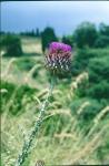 Sizilien_1999_005_DxO
