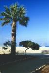 Sizilien_1999_193_DxO