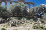 Sizilien 2024 05 03 10 12 29