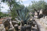 Sizilien 2024 05 02 10 04 55