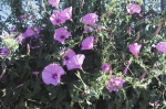 Sizilien 2024 05 01 18 24 02