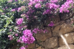 Sizilien 2024 05 03 11 43 17