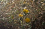Sizilien 2024 05 03 18 04 38