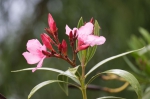 Sizilien 2024 05 09 18 11 44