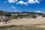 Sizilien 2024 05 04 13 26 46