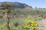 Sizilien 2024 04 27 13 43 30