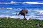 Suedafrika_2017-11-22_13-33-26_DxO