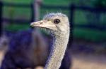 Suedafrika_2017-11-25_16-18-47_DxO