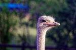 Suedafrika_2017-11-25_16-19-14_DxO