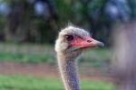 Suedafrika_2017-11-25_16-31-23_DxO