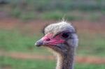 Suedafrika_2017-11-25_16-32-10_DxO