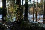 20241229 145411 Thueringerwald Dp Oberhof