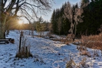 20241229 150230 Thueringerwald Dp Oberhof