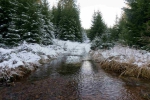 Thueringerwald 2024 12 29 15 31 10 Dp