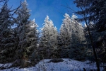 Thueringerwald 2024 12 30 12 44 03 Dp