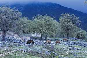 Himarë - Vlorë