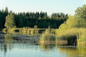 Bad Bayersoien