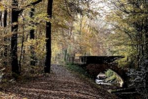 Herbst 2021