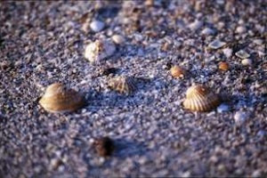 1999 - Sardinien