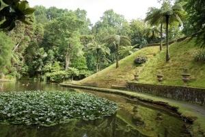 Furnas