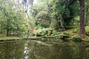 Furnas