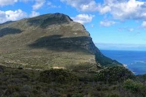 Panoramas