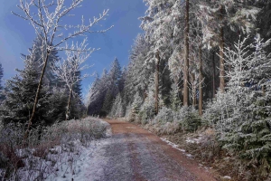 Thüringer Wald 2024