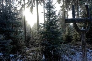 Oberhof