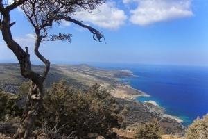 Aphrodite trail
