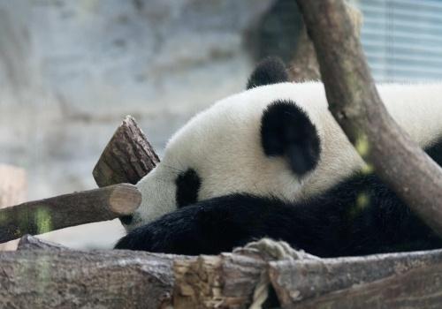 Zoo